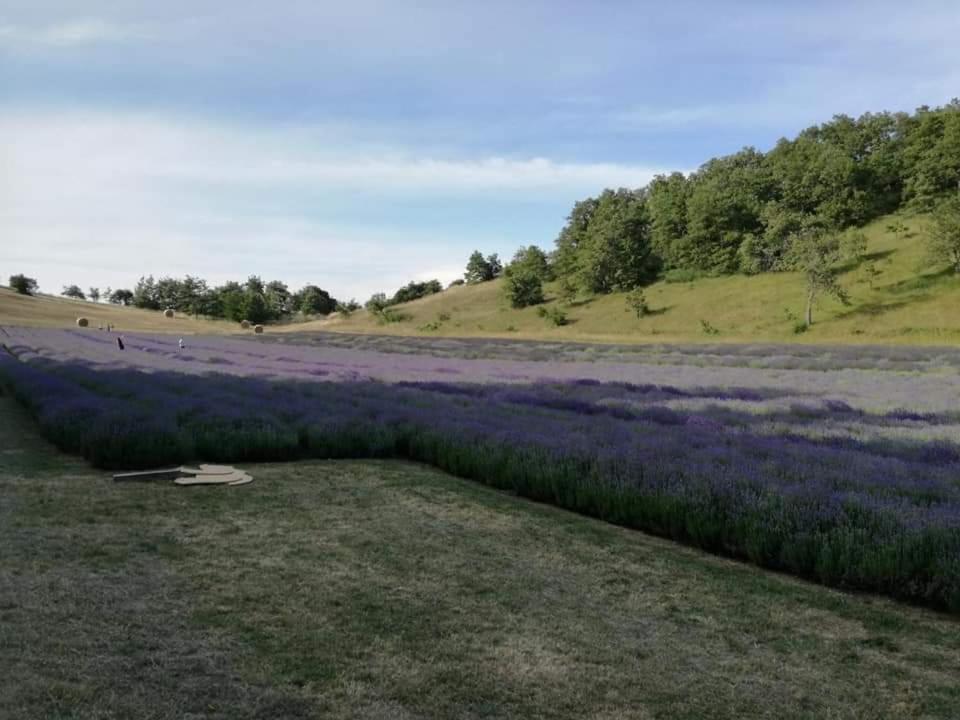 B&B I Girasoli Monte San Pietro Εξωτερικό φωτογραφία